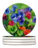Illinois Violet in Watercolor Large Sandstone Coasters Pack of 4 Absorbent Round Coasters Decor Gifts for Men or Women, 4 in, Multicolor